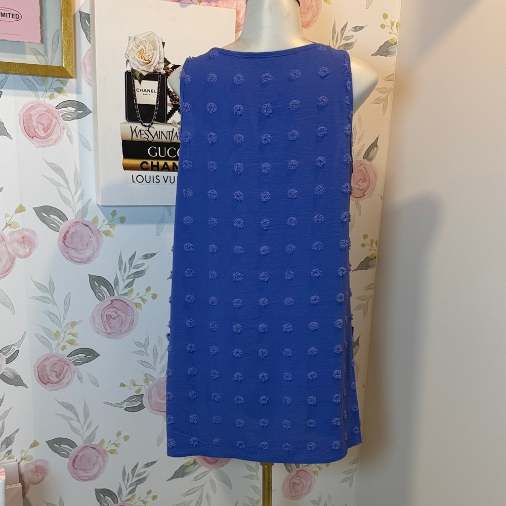 Baby Blue Sleeveless Top Polka Dot Dress - Picture 3 of 4